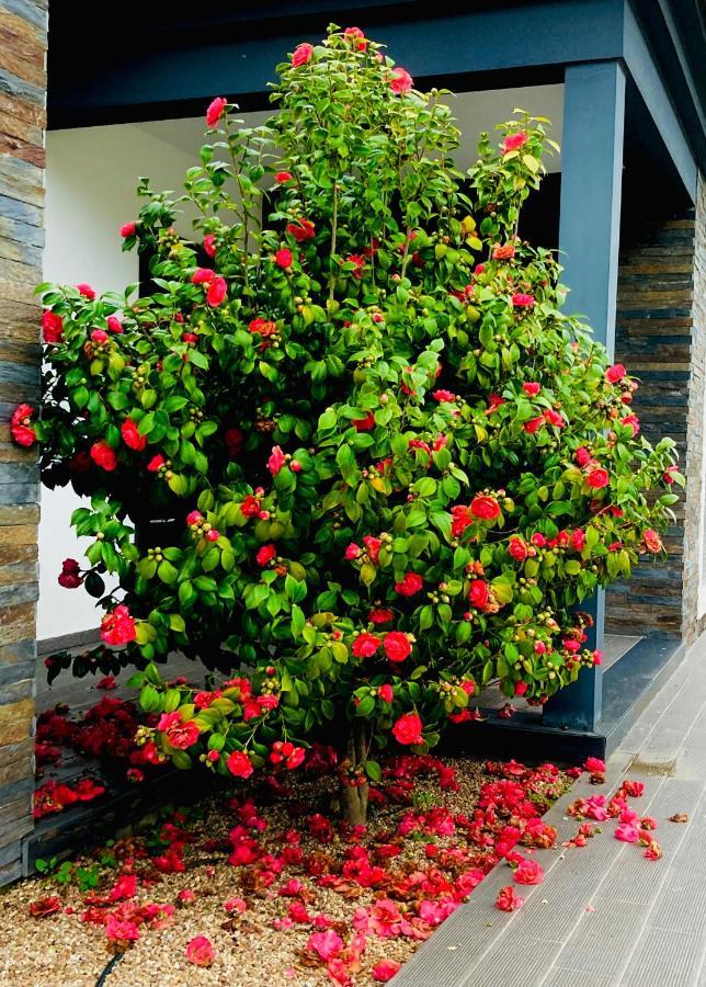 Quinta Do Portal Guest House Bespeira Esterno foto